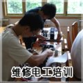 ݵ纸ѵ
