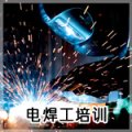 ݵ纸ѵ