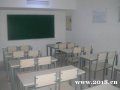 ӷѵ