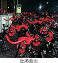 汕头市标体健身俱乐部
