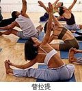 汕头市标体健身俱乐部