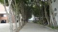 揭阳市综合中等专业学校