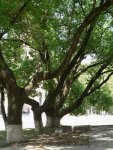 三明职业技术学院
