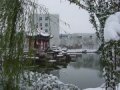 ҵѧ2015Կרҵ--гӪ