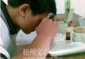 رʯȺĥѵ