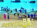 չѵ֮쵼ѵγ