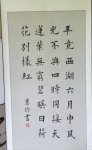 鷨ѵ