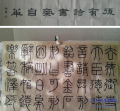 ۷ٶ鷨ѵ