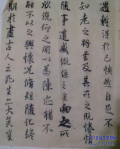 ۷ٶ鷨ѵ