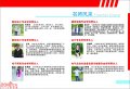 2016年招生简章