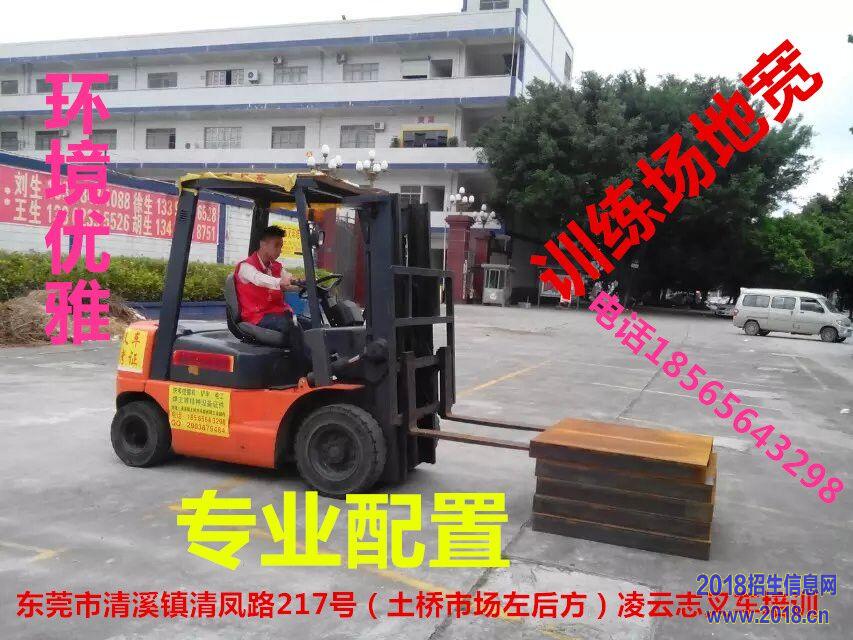 ݸ泵ѵ